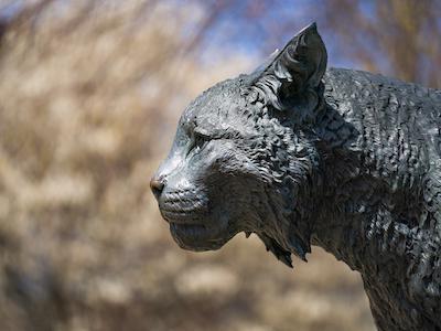 wildcat statue